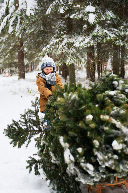 Little boy pulling the Christmas tree at forest
