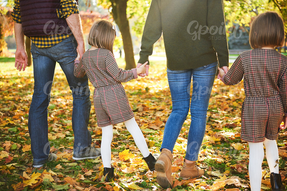 Rear view of family walking in autumn woods