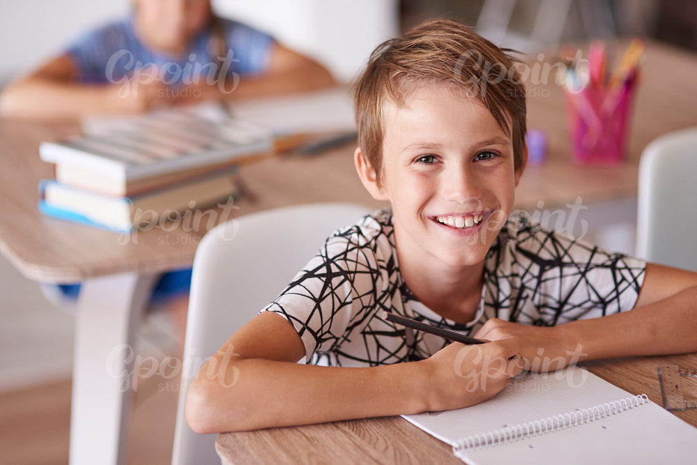 Cheerful boy in the school desk
