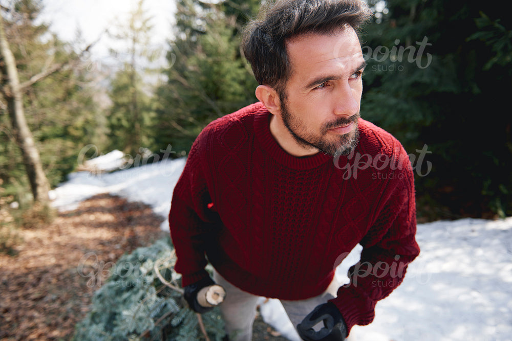 Close up of man carrying the Christmas tree