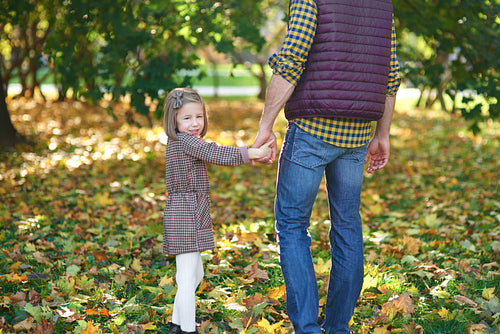 Rear view of father and daughter during autumn walk
