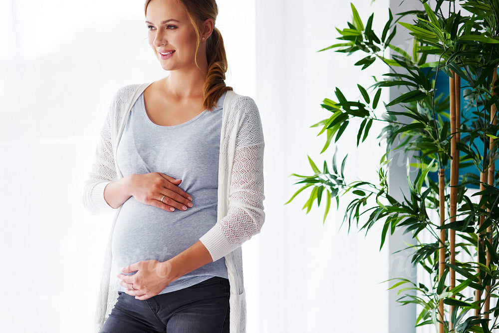 Portrait of pregnant woman touching her belly