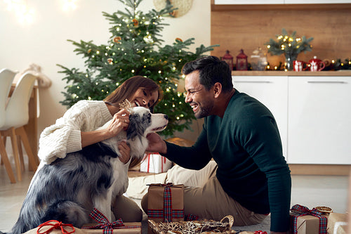 Multi ethnicity couple spending time with dog at Christmas