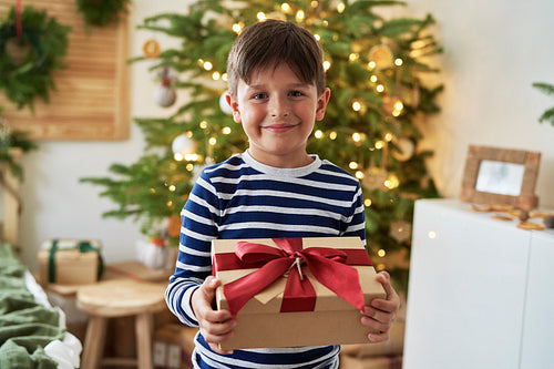 Portrait of cute boy with Christmas present