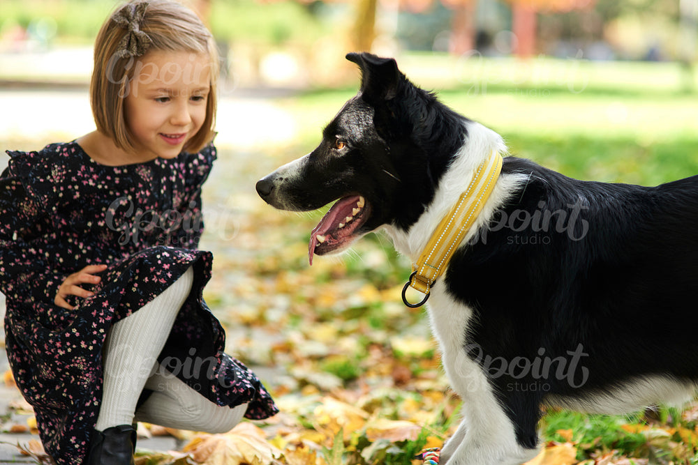 Girl playing with her dog on the fresh air